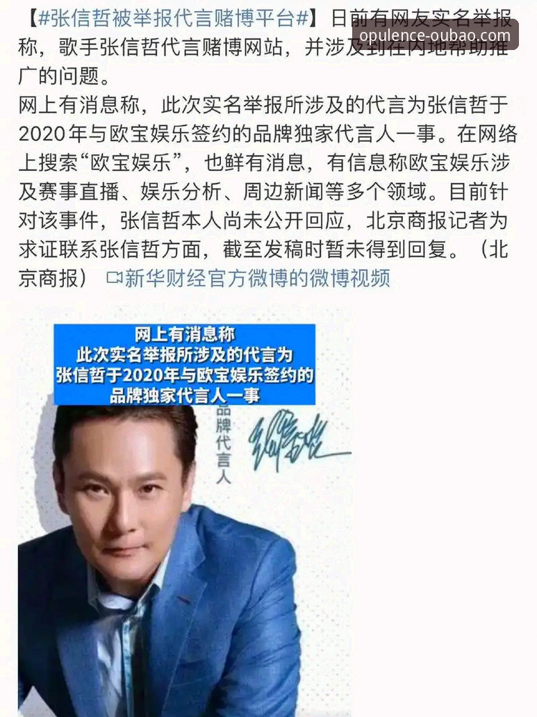 欧宝娱乐在线登录与普通版登录：哪个更适合你的使用习惯？